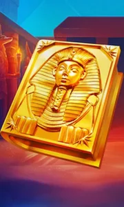 Book of Gold Multichance
